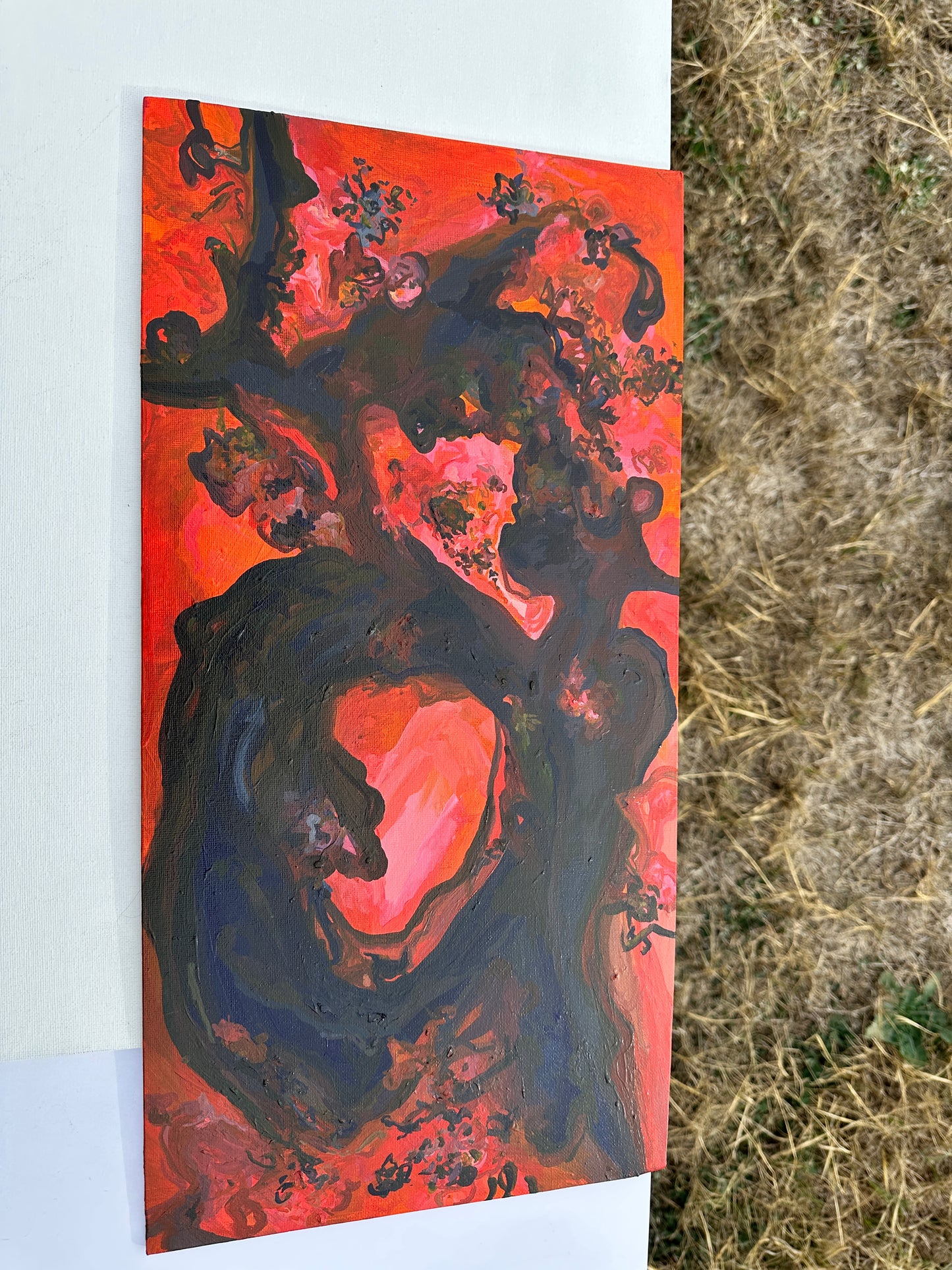Fire Portal