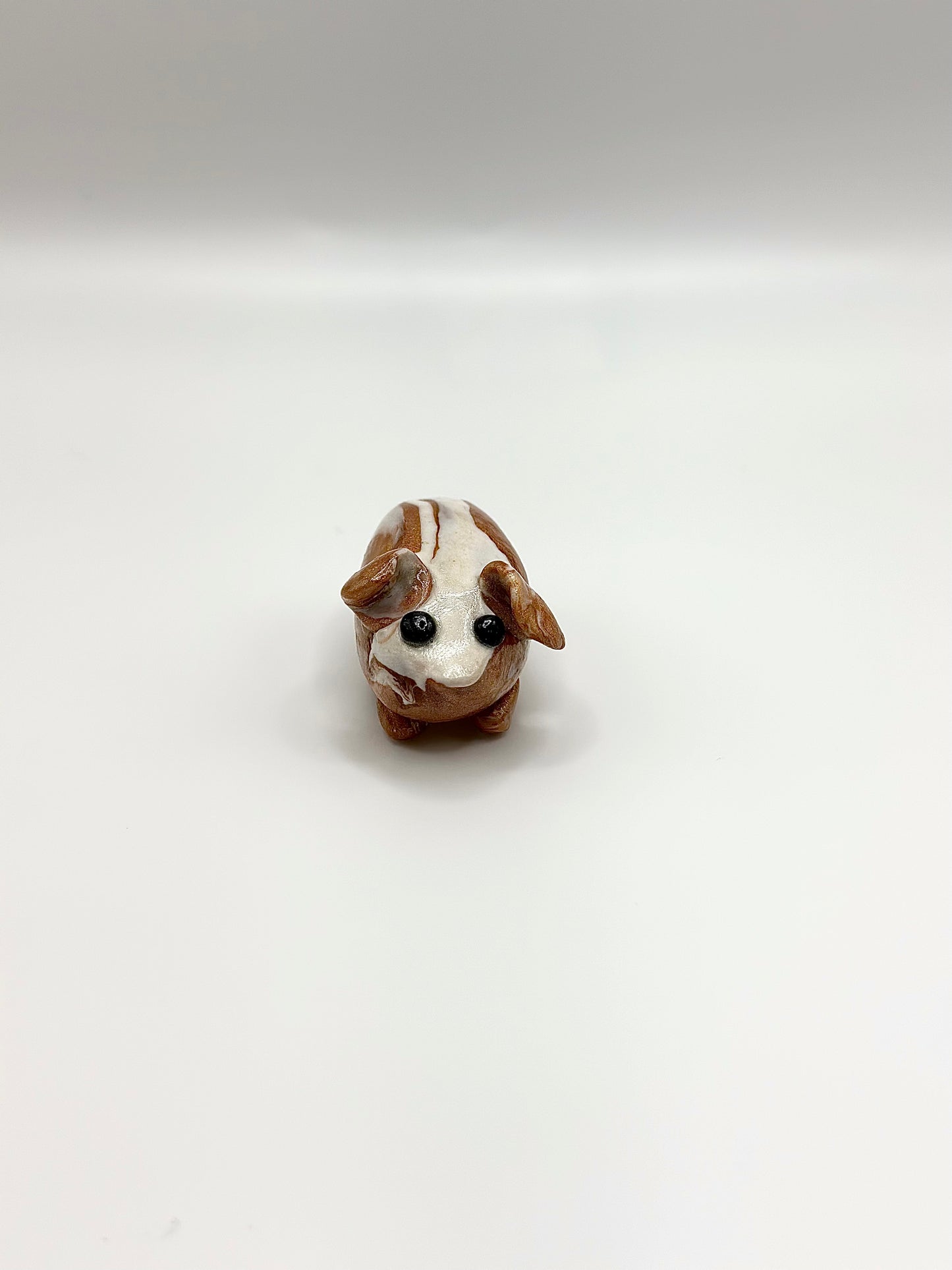 Clay Guinea Pig