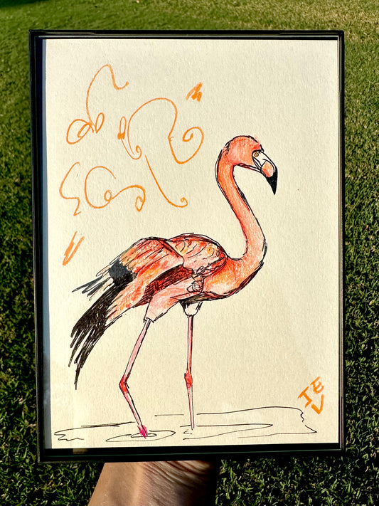 Flamingo