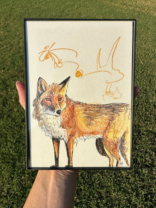 Fox