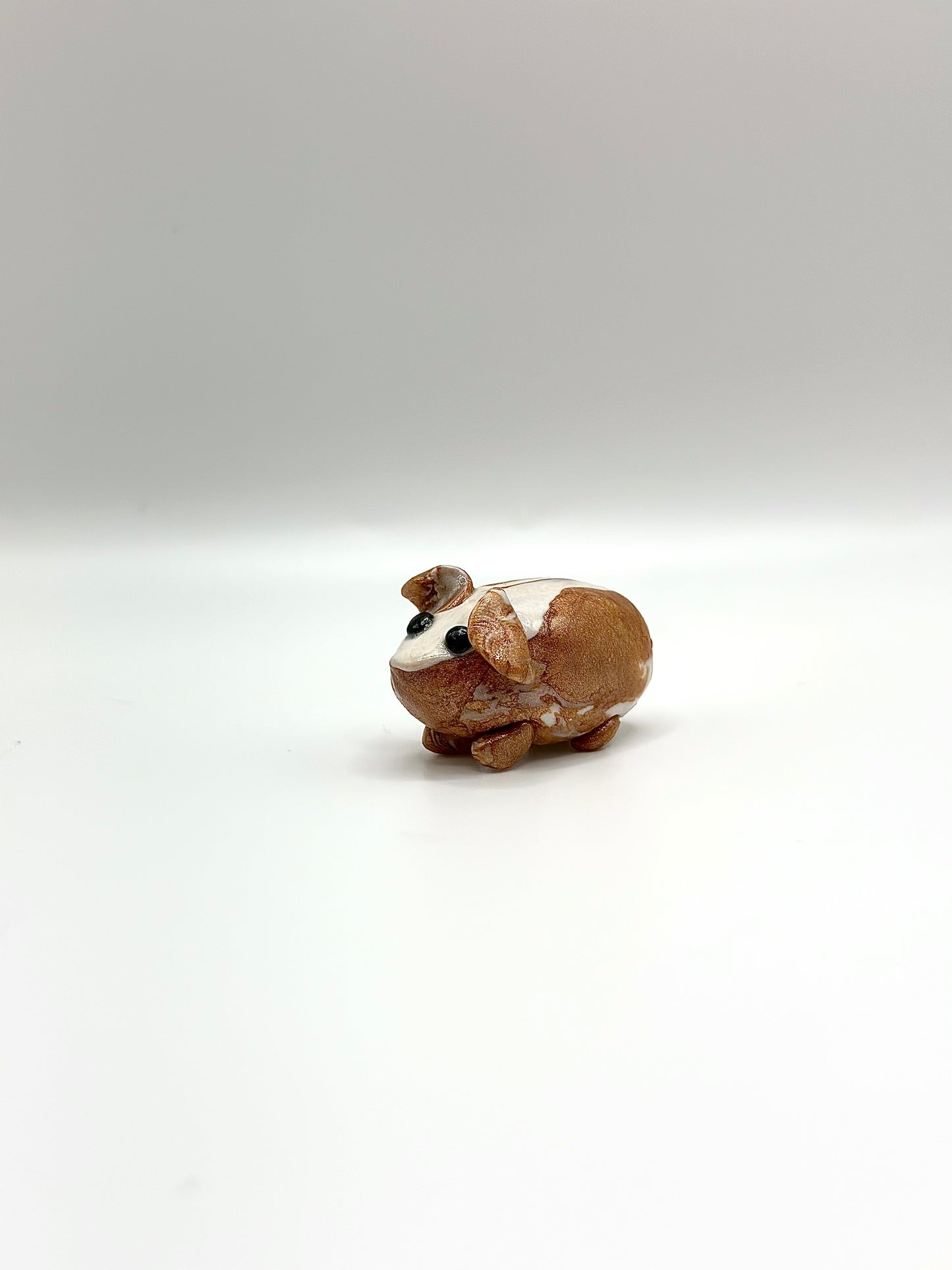 Clay Guinea Pig