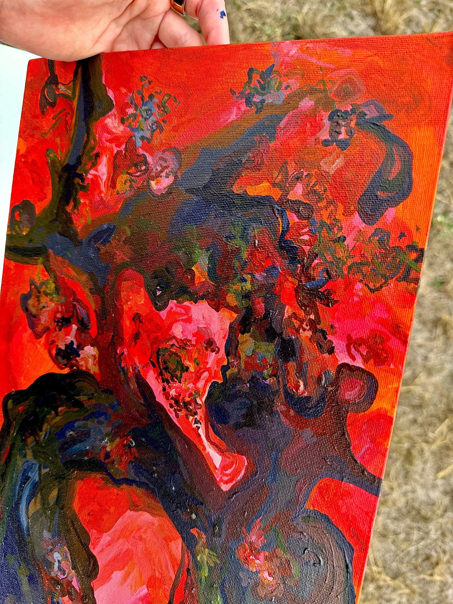 Fire Portal