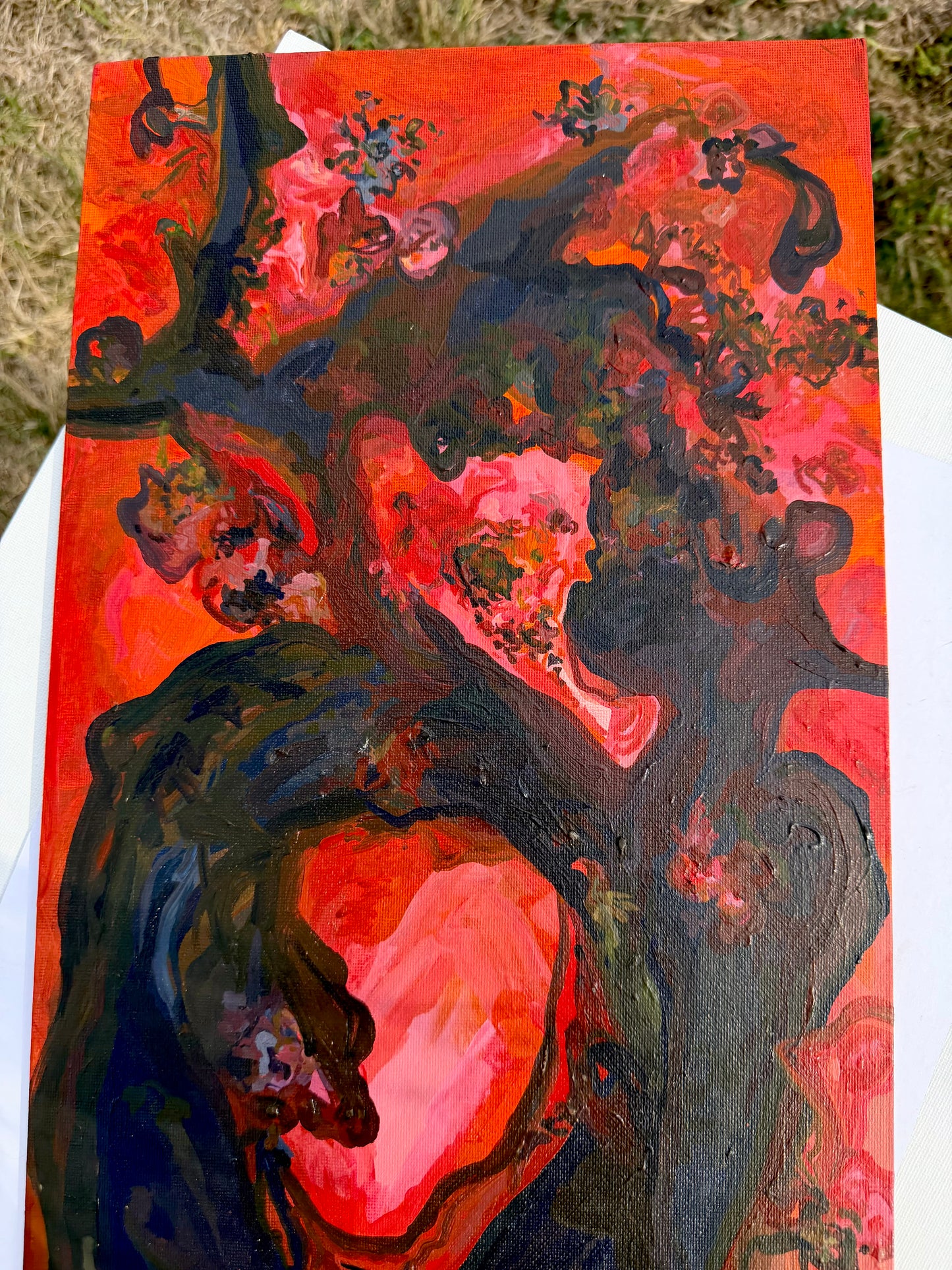 Fire Portal